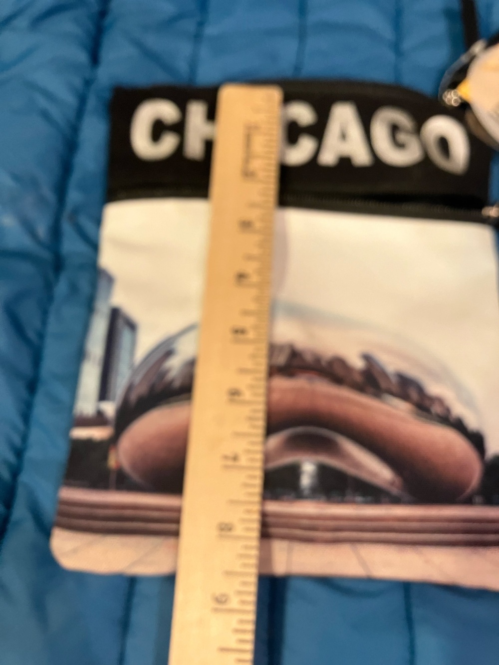 Robin Ruth Chicago bag - Picture 4 of 5